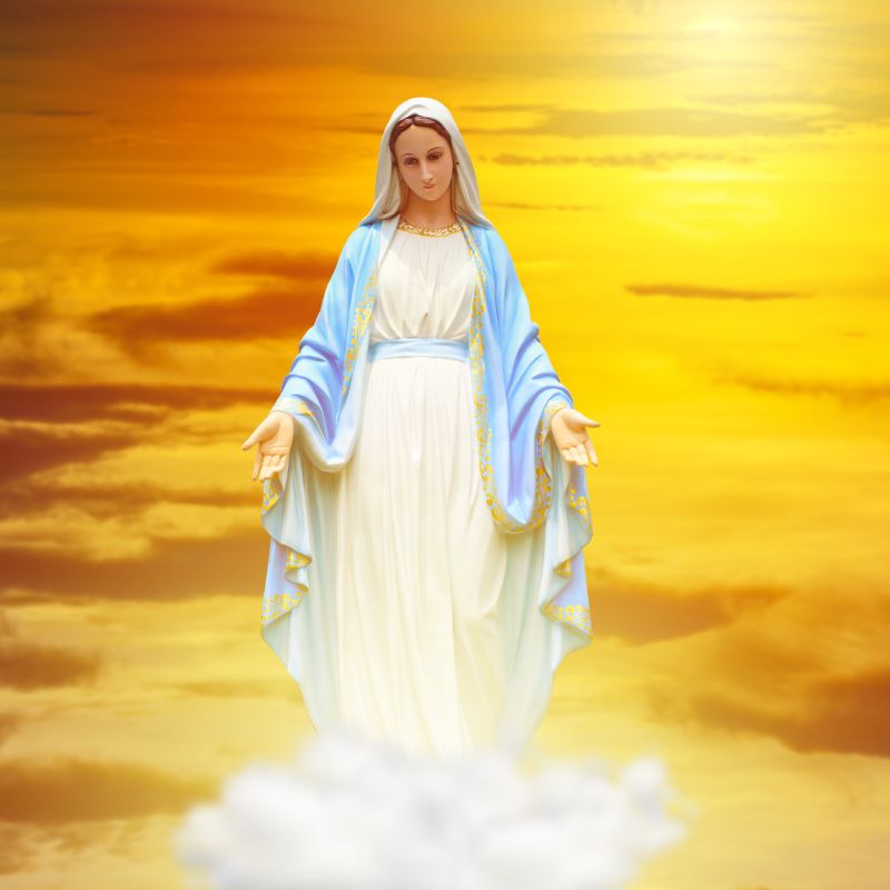 D.577 – Marie : mère de Jésus – sa virginité – ses autres enfants