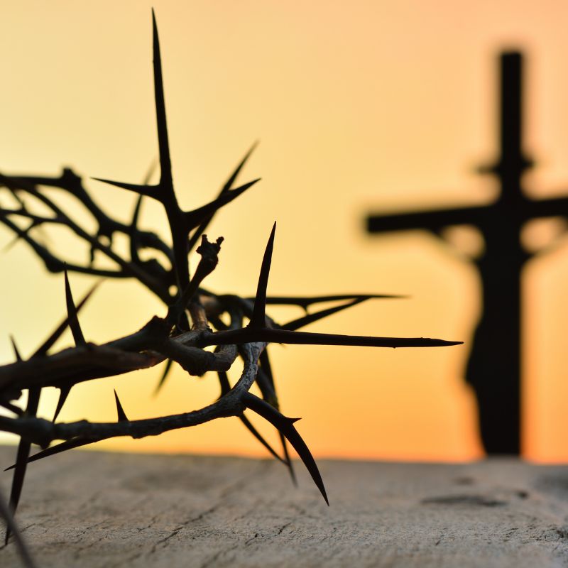 Le message de Pâques de Trump rappelle la crucifixion de Christ, alors que Trump nie lui-même le compte-rendu du Nouveau Testament au sujet de cette crucifixion